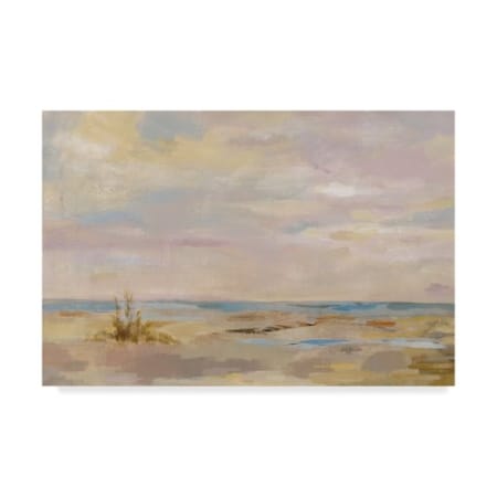 Trademark Fine Art Silvia Vassileva 'Dreamy Beach' Canvas Art, 16x24 WAP07771-C1624GG